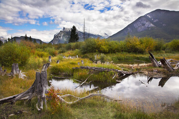 Canvas Print - Bog in  mountains