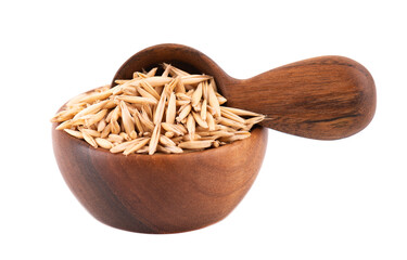 Unpeeled oat grains in wooden bowl and spoon, isolated on white background. Organic dry oat seeds.