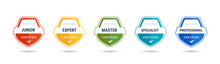 Certified Badge Logo Design For Company Training Badge. Certificates To Determine Based On Criteria. Standard Verified Colorful Modern Vector Illustration.