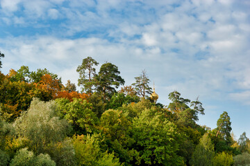 The dome of the church among the forest landscape in autumn. Trees in autumn colors