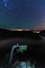 Wall Mural - A beautiful starry night in the mountains on top with beautiful scenery and fog.