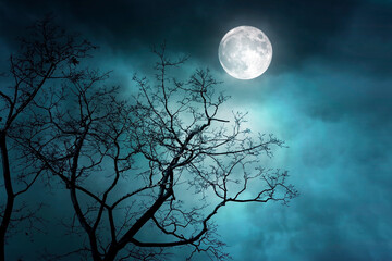 Wall Mural - spooky night forest with moon and moonlight, misty foggy forest
