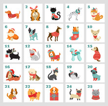 Christmas Advent Calendar With Dogs. Funny Xmas Poster With Puppies, Dogs Wearing Winter Clothes, Christmas Accessories 
