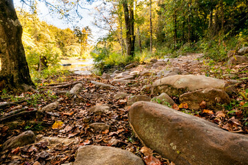 Wall Mural - Landscape of river rocks and fallen leaves leading to the river