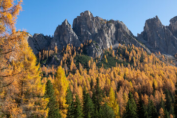 Canvas Print - AERIAL: Flying shot of vivid forest covered valley under Tre Cime mountain range