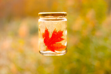Wall Mural - maple leaf in a bottle.  signs of autumn image.