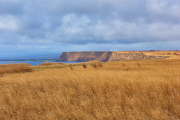 Dry grass and cliff in KaLae South Point, Naalehu, HI