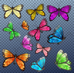 Sticker - Set of different color butterfly on transparent background