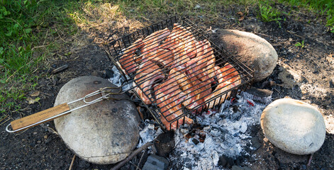 Barbecue grill on the grill, roast meat on coals, grill in nature, barbecue ribs