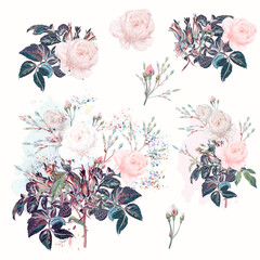 Aufkleber - Beautiful vector set of rose flowers in watercolor style