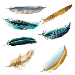 Poster - collection of vector realistic feathers for design