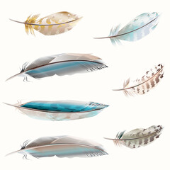 Poster - Fashion collection of vector high detailed feathers in realistic style