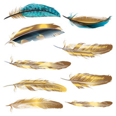 Poster - Set of vector realistic feathers isolated on white