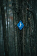 Canadian hiking trail path marker