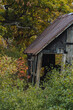 old shed falling apart with fall trees in the background