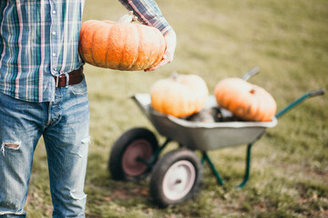 Wall Mural - Man holding pumkin in his hand. Retro style photo