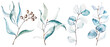 Watercolor illustration set. Eucalyptus, olive, green leaves
