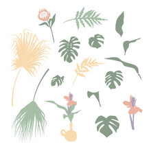 Set Of Boho Tropical House Plants, Branches, Flowers And Leaves. Flat Vector Illustration.