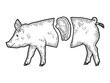 Showcase of the meat department. Pig carcass split, steak. Engraving raster illustration.