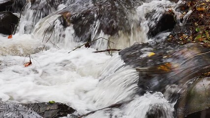 Canvas Print - an autumn stream with wild water in close-up