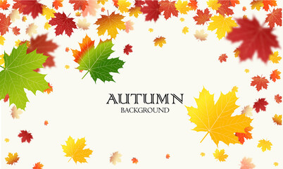 Wall Mural - autumn falling leaves background vector template. leaf vector
