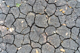Fototapeta Desenie - dry cracked earth