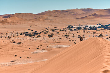 Wall Mural - Amazing landscape in Namibia, Africa