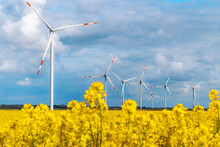 Wind Energy Park With Serveral Mills Infront Of Cloudy Sky Surrounded By Yellow Raps