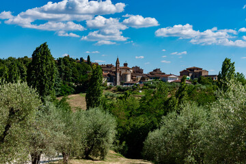 Poster - vineyards of felsina winery of chianti