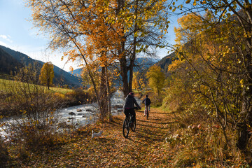 Poster - bike autunno montagna foglie colori 