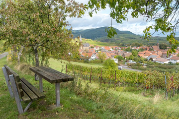 Wall Mural - In den Weinbergen oberhalb von Birkweiler, Südpfalz