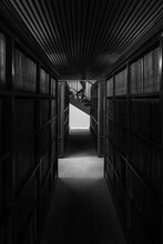 Library Human Shadow