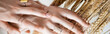 © LIGHTFIELD STUDIOS - cropped view of female hands with golden rings on fingers near wheat, banner