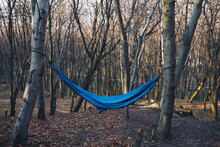 Hanging Hammock Among Empty Forest.