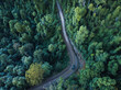 © Nick Jaffe/Stocksy - Aerial road & forest