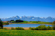 © Lisa Bahnmüller/Westend61 - Scenic view of clear blue sky over springtime meadow and Schapfensee lake