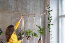 Woman Gardener Holding Macrame Plant Hanger With Houseplant Over Grey Wall. Hobby, Love Of Plants, Home Decoration Concept. 