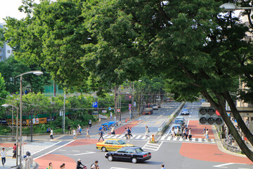 Wall Mural - 明治通り宮下公園交差点