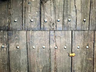 Wall Mural - Natural abstract textured wood background with metal nails, copy space