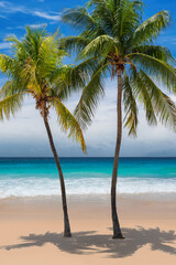 Wall Mural - Paradise tropical sunny beach with coco palms and the turquoise sea on Caribbean island.	