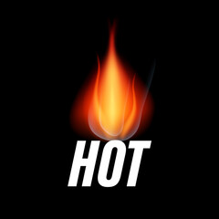 Sticker - Hot Flame on Black Background - Vector Flame Symbol