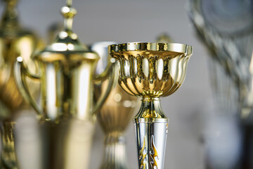 Poster - selective focus on one trophy with other trophies as background