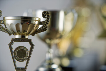 Poster - selective focus on one trophy with other trophies as background