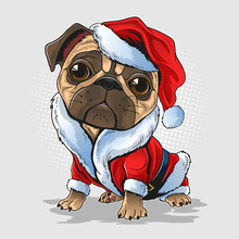 Christmas Pug Dog Wearing Santa Claus Costume