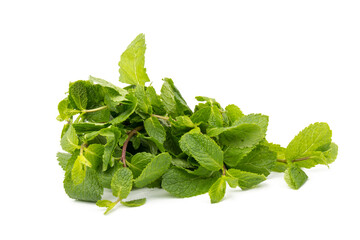 Fresh mint leaves isolated on white background.