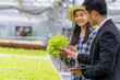 © khwanchai - Farmer woman checking hydroponic vegetable with Product importer in farm