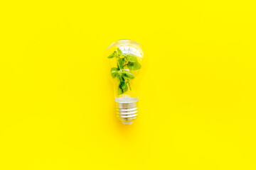 Renewable eco energy concept with light bulbs and green plant inside