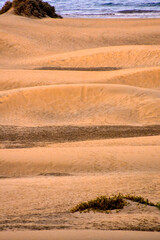 Wall Mural - Desert with sand dunes in Gran Canaria Spain