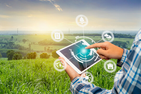 innovation technology for smart farm system, agriculture management, hand holding smartphone with sm