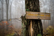 Cedar Cliffs trailhead, hiking trail marker sign with mile distance attached to tree in fog, foggy misty morning weather in autumn in Wintergreen Resort, Virginia